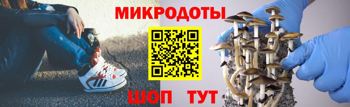 Псилоцибиновые грибы Psilocybine cubensis  Вход с VPN  купить   Галлюциногенные грибы GOLDEN TEACHER  Новый Уренгой 